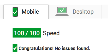 What on Your Website Affects Your Google PageSpeed Score?