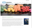 Desktop View of Coating Place's Home Page in thumbnail