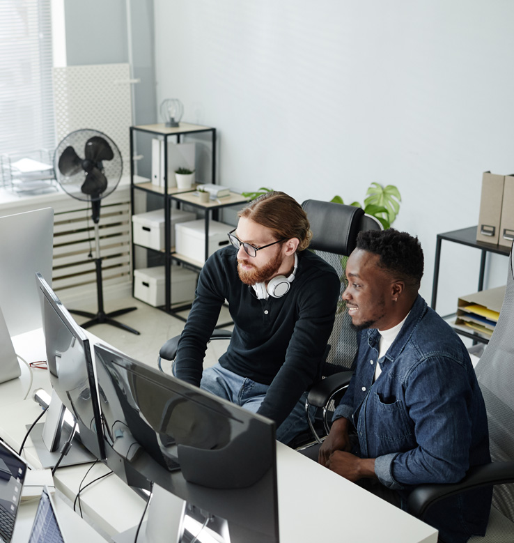 Two men collaborating at computer.