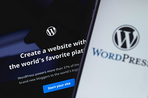 WordPress website creation screen.