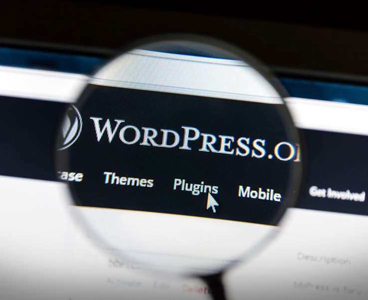 Magnified view of WordPress plugins menu.