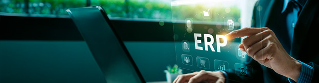ERP interface screen