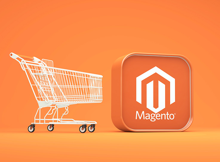 Magento + Sage ERP Integration Case Study